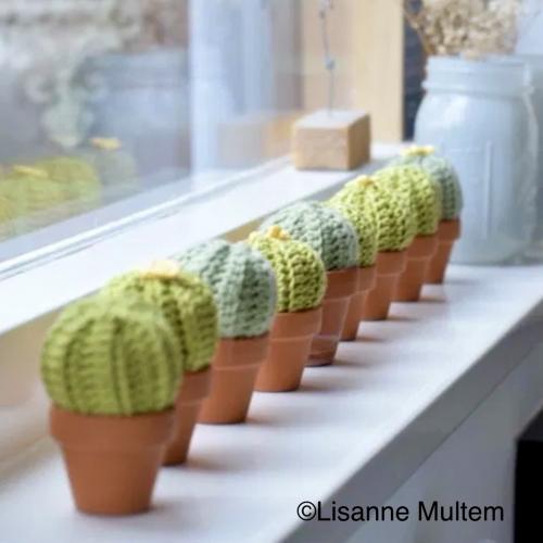 Ook Lisanne Multem heeft op haar blog leuke gratis haakpatronen staan, bijvoorbeeld van deze schattige mini-cactusjes: <a href="https://www.happyhandmadeliving.nl/2016/11/mini-cactus-cadeautjes/" class="linkified ys-whitespaced" target="_blank">https://www.happyhandmadeliving.nl/2016/11/mini-cactus-cadeautjes/</a>&nbsp;