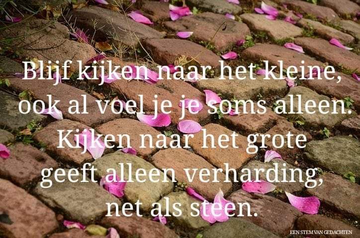 Klein kan groot zijn...