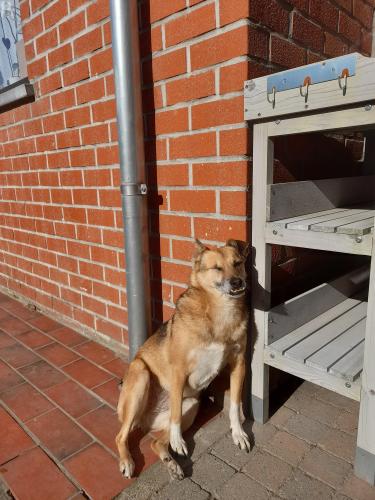 Ze ziet er super schattig, mijn hond heeft dezelfde naam