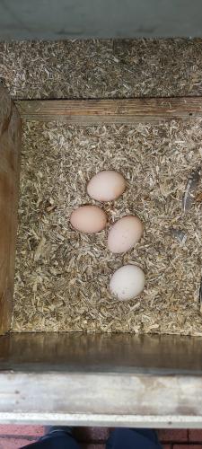 Goedemorgen allemaal 