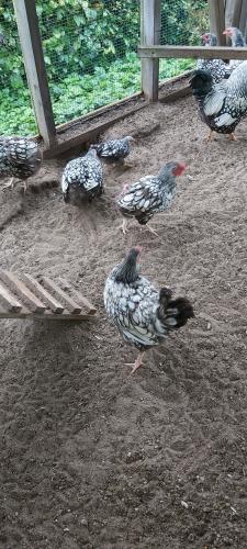 Goedemorgen allemaal 