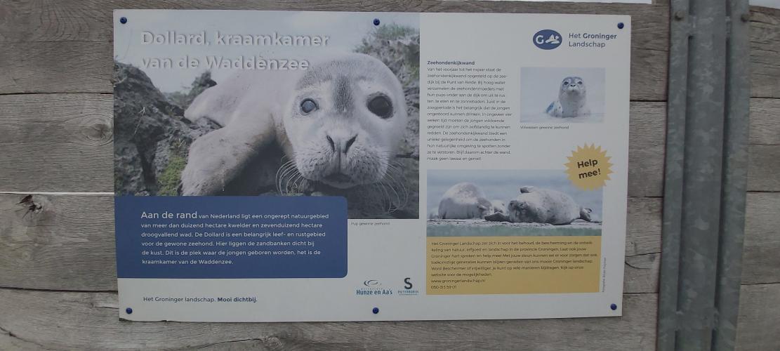 Seal viewing wall