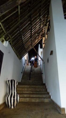 Willen , wensen, dromen...reis je mee? Reisgenoten welkom.