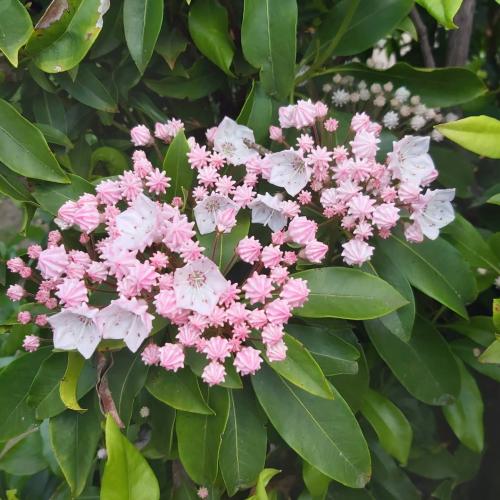 Impressions of the Open Air Museum