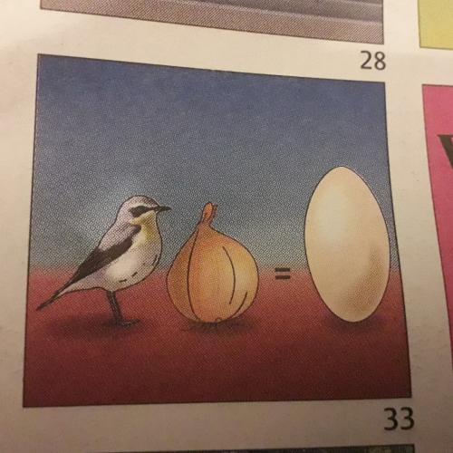 Dr Denker 33 tips en hints