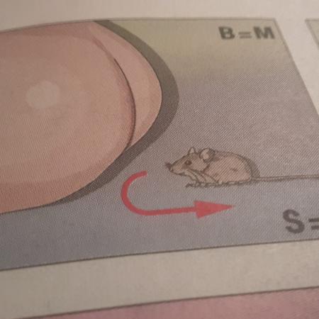Tip: Dr Denker Puzzel 3: Welk lichaamsdeel en welk dier zie je hier?