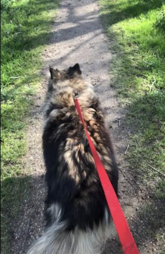 YoorsCoronaPositiveChallenge