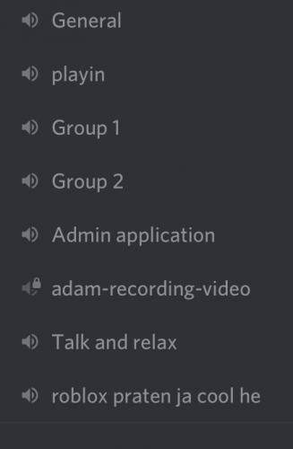 Hoe werkt mijn Discord server?