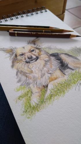 Nieuwe krabbel in de maak.