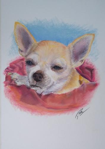 Getekend in opdracht