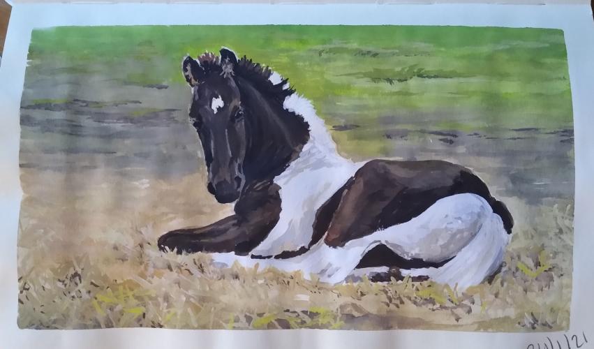 practice with gouache paint