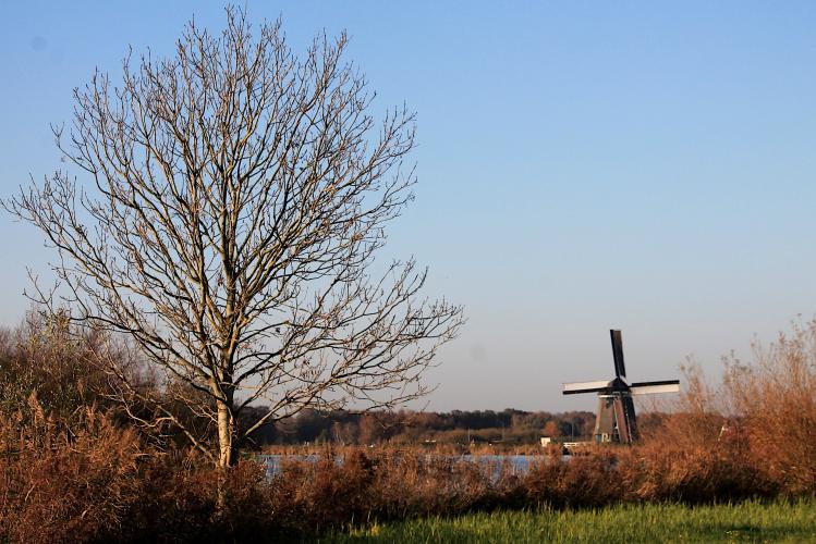 Twiskepolder in het najaar