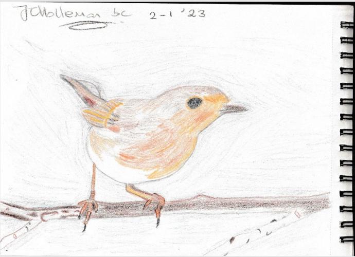 Roodborstje nagetekend