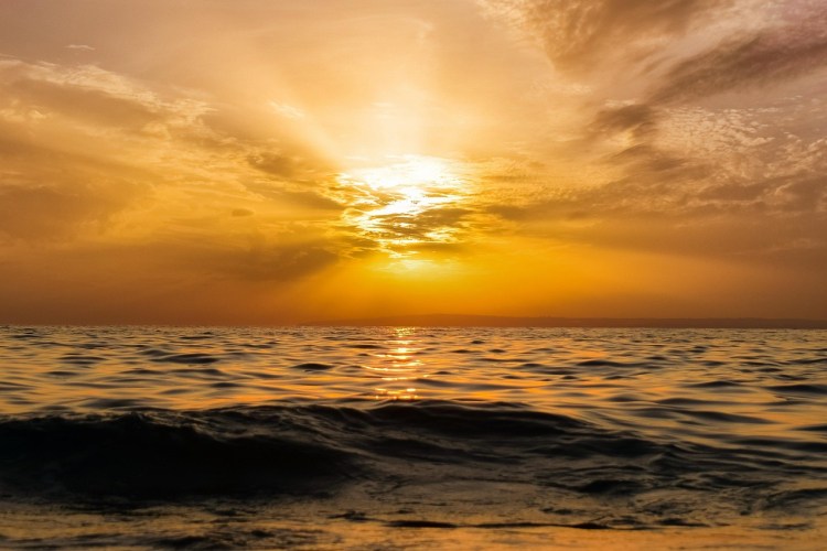 Nu in de bioscoop: Ocean