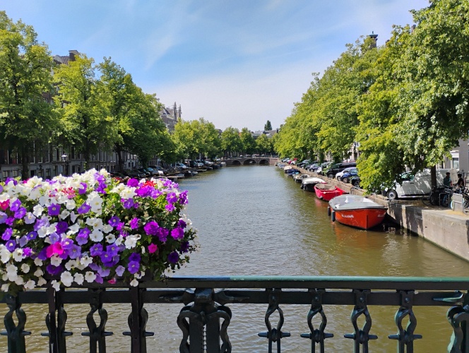 Amsterdams doorkijkje