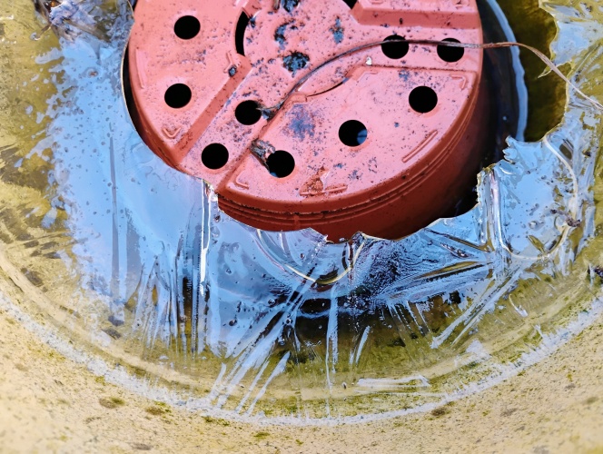 IJsbloempot