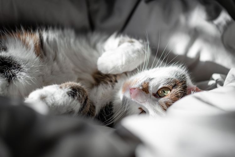 Tijd om op te staan?