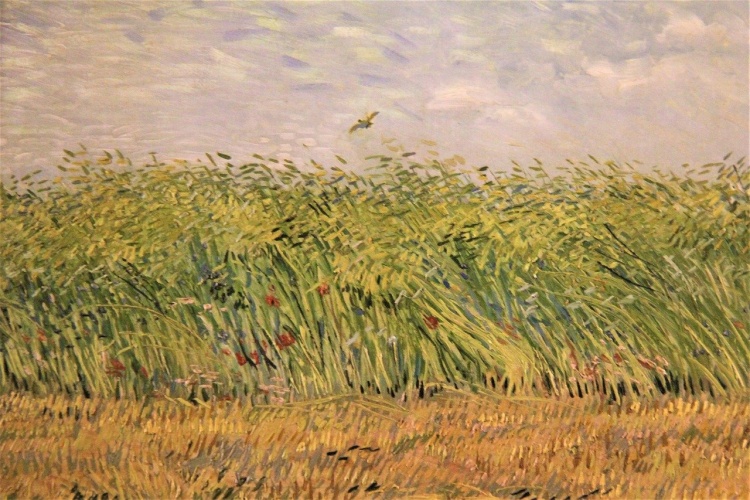 Van Gogh Museum + impressionisten-tentoonstelling