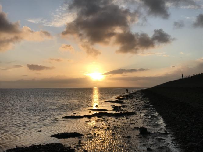 Zonsopkomst Texel