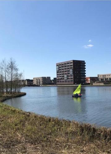 Thuis door Corona, blog 6 van Wout