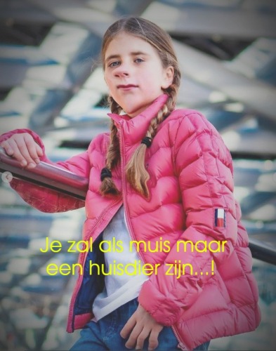 Muizen als huisdieren