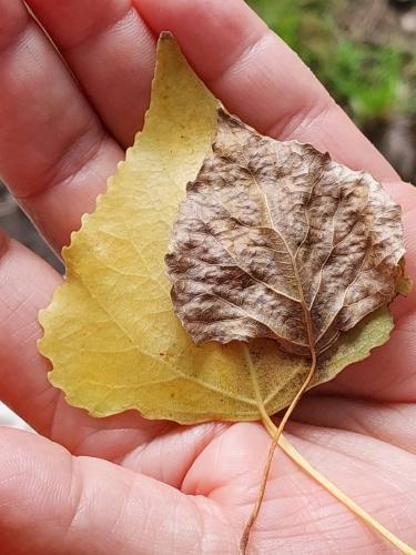 Wat roept deze foto bij je op? 