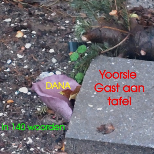 Welke gast komt er daarna aan tafel?