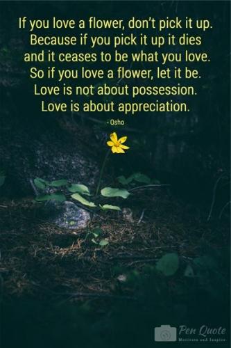  Image: Pin on Positive Inspirational Quotes