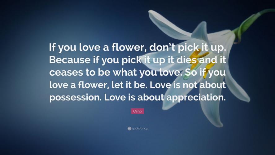 Osho Quote: “If you love a flower, don’t pick it up. Because if you pick it up it dies and it ceases to be what you love. So if you l...”