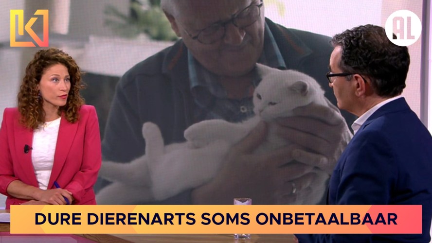 De prijs van dierenliefde: Dure dierenarts soms onbetaalbaar - Kassa - BNNVARA