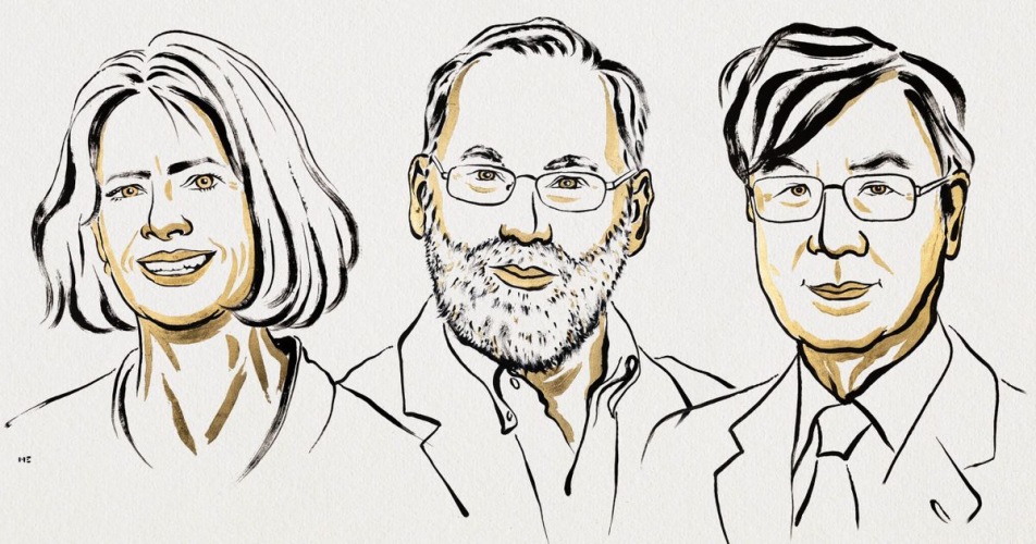 Nobelprijs Geneeskunde naar ontdekkingen over ârem op immuunsysteemâ