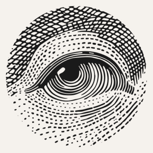 Follow the Money - Platform voor onderzoeksjournalistiek