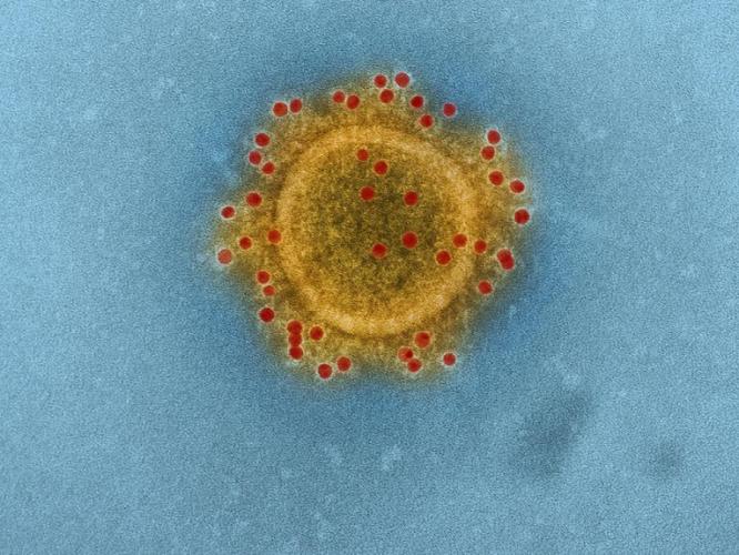  Het coronavirus lijkt een stuk besmettelijker dan gedacht