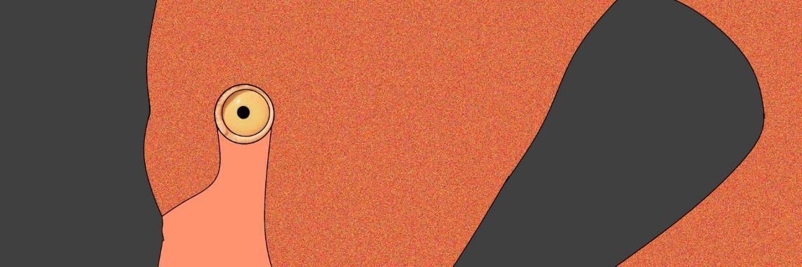  Digitaal tekenen - een zoektocht