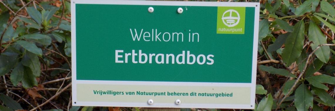  Herfstwandeling in het Ertbrandbos.