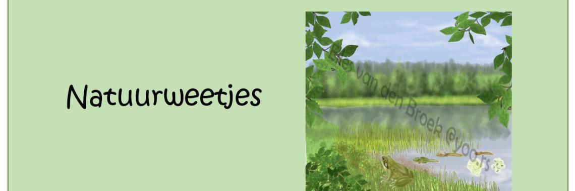 Leuke natuurweetjes voor kinderen en volwassenen (help je mee?)