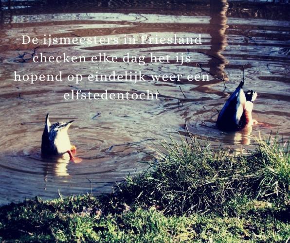  11 stedentocht?