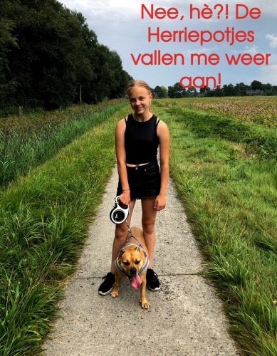Toch weer herrie om Demi heen