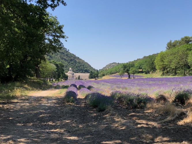 Abbaye Notre-Dame de Sénanque: Lavendel, rust en romaanse pracht