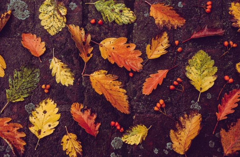Storm en depressie in de herfst