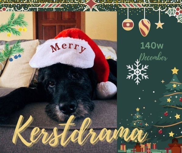 Een kale kerstboom......