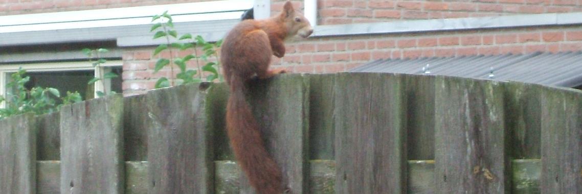  Arme jij