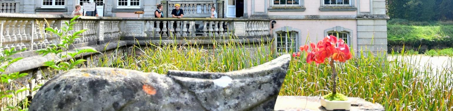 Bonsai in het kasteel van Poeke