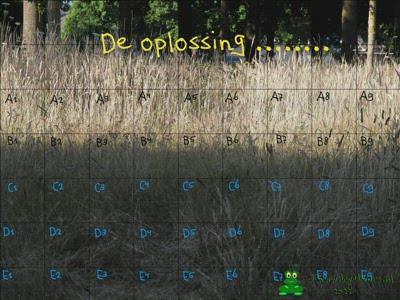 De oplossing