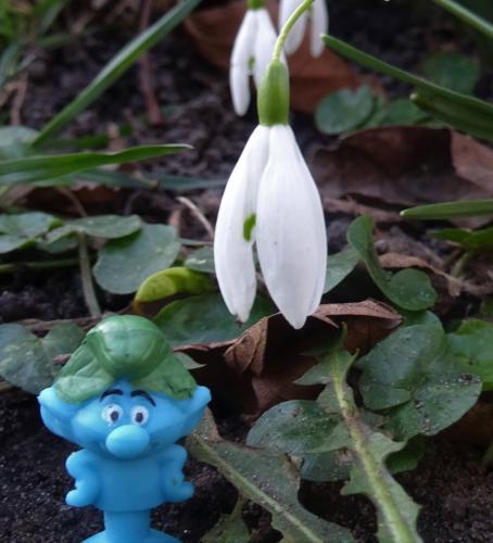  Een smurfige toevalligheid