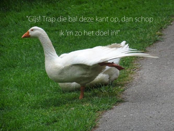 Gijs!