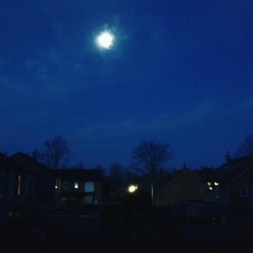  Goedemorgen allemaal!Dit was mijn uitzicht vanochtend... de #maan in (bijna) volle glorie.  Ik heb w
