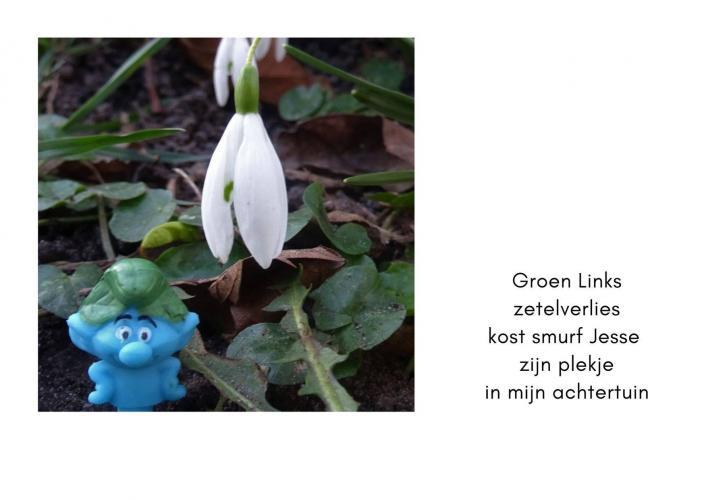  Groen verlies