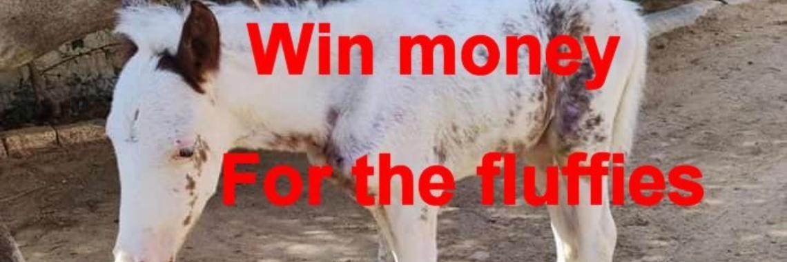 Help winning a grant