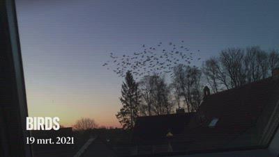  Het eerste wat ik zag toen ik buiten keek vanmorgen...
